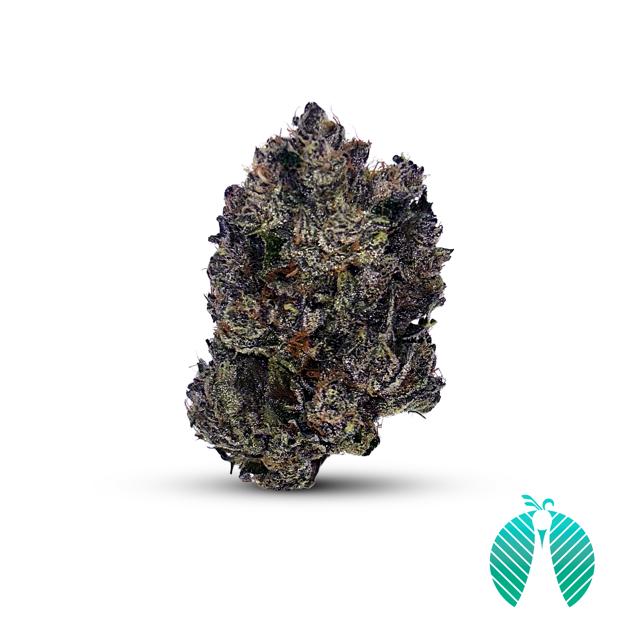 (CD)Maitri／Maitri Pennsylvania Cannabis - Medical Marijuana Strains — Maitri Medicinals
